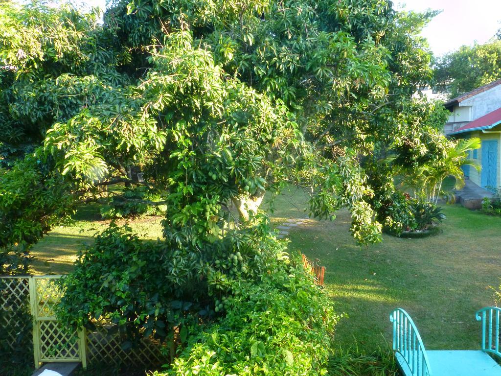 Casa De Las Tias ซานโฮเซ ภายนอก รูปภาพ